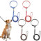 FANTESI 4 Stück Welpenhalsbänder mit Leine Set Hundehalsband und Leine Verstellbares Hundehalsband Schnellverschluss Weich Nylon Haustier Halsband für Welpen Kleine Mittlere Hunde Katzen