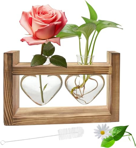 Cyiecweu Vase à Fleurs Vintage Coeur, Plante Propagation Station pour Salon, Hydroponique Vase en Verre Tubes à essai avec Support en Bois, Cadeaux pour Anniversaire Fête des mères Saint Valentin