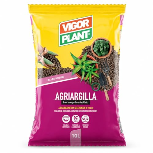 Terriccio universale con argilla espansa 10 LT a pH controllato per piante da interno ed esterno, substrato drenante per succulente, cactus, fiori e orto domestico, uso giardinaggio e rinvaso