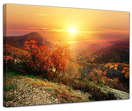 Bilderdepot24 Wandbild - sonnige Herbstlandschaft 80x60 cm einteilig quer - fertig gerahmt - Kunstdruck für die Wand - Herbst Blätter Landschaft