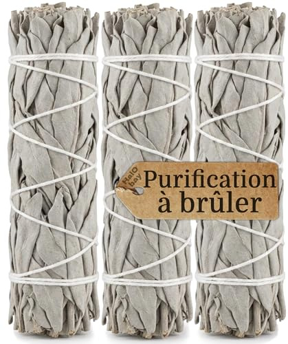 3 Sauge Blanche Purification à brûler Encens Naturel sans Additifs Bâton 10cm Rituel Méditation Yoga Nettoyage Énergétique Relaxation Bien Être Spirituel Sage Salvia Apiana
