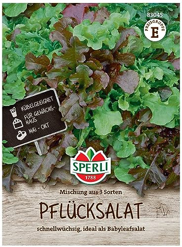 83045 Sperli Premium Salat Samen Mix | Pflücksalat Samen | 3 Sorten | Salatsamen Pflücksalat | Lollo Rosso Samen | Salad Bowl | Amerikanischer Brauner