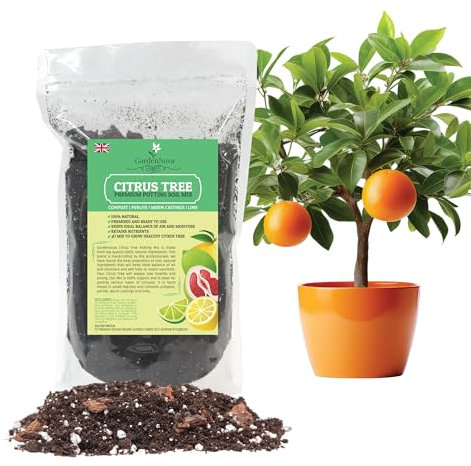 Citrus Tree Potting Soil Mix, Special Blend for Indoor Oranges, Lemons, Limes and More - (1 Liter Bag)