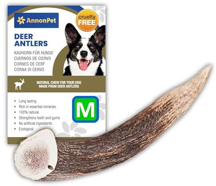 AnnonPet® Corno di Cervo | Masticativi Naturali per Cani | Osso di Cervo per Cani Ricco di Calcio e Fosforo |Ideale per l'Igiene Orale e la Salute Dentale | Riduce tartaro e ansia (Medium)