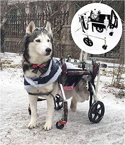 Carrozzina per Cani per Cani di Grossa Taglia Animale Disabile Zampa Anteriore Arto Posteriore Carrello Elettrico 4 Ruote Carrozzina per Cani Regolabile Scooter per Cani Anziani PE