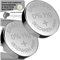SR621SW Watch Batteries - 2 x Seizaiken 364 Equivalent Cell Button Watch Battery Replacement Kit for Watches with Fitting Guide
