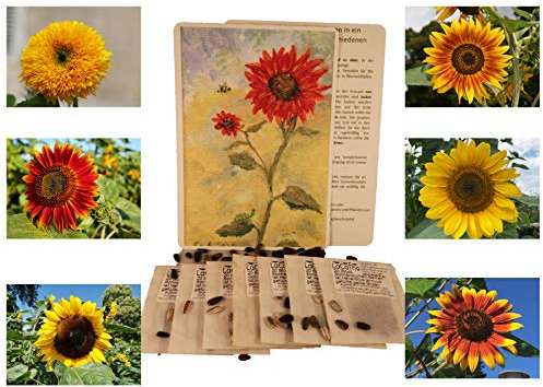 Sonnenblumen Samen im Set: 7 Sorten Sonnen Blumen Saatgut viele Farben: rot gelb orange bronze, lat. Helianthus annuus, Sonnenblumensamen Mix, Mischung bunte gefüllte Blumensamen