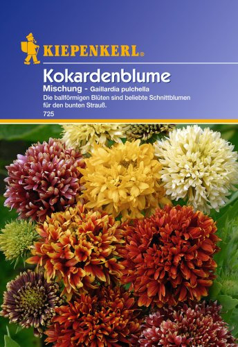Sperli Blumensamen Kokardenblume Gaillardia Mischung, grün