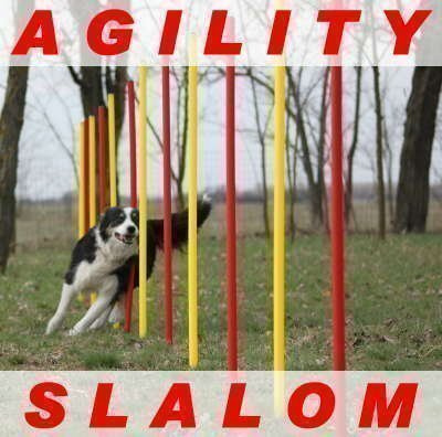 AGILITY övnings-slalom-set röd/gul flexibel, rund stång