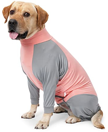 Pinellia Dog Recovery Suit, Abdominal Wound After Surgery Wear, Prevent Licking Wounds, E-Collar & Cone Alternatives, Long Sleeve Postoperative Shirts Dog Bodysuit Prevent Shedding(Medium, Pink)