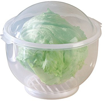 WalterDrake Lettuce KeeperTM - 7 X 8