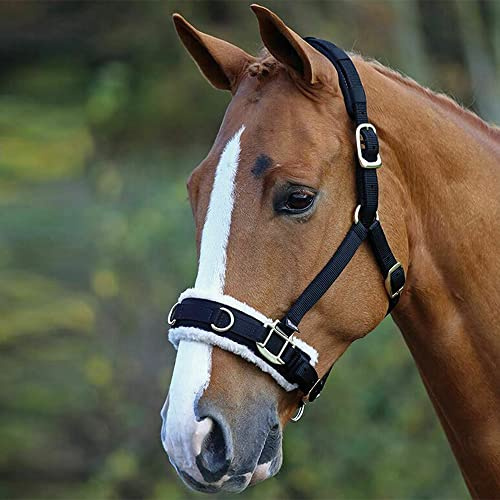 Horse Master Padded Headcollar Halter - Flexible Lunging Cavesson with Comfortable Fleece Lining and Adjustable Buckle Closure - Elegant Stable Accessories and Equipment (Cob, Black)