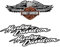 Reflektierende Aufkleber für Motorradhelm, Hommage an Harley Davidson – Adler (3 Sticker)