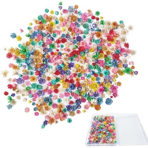 ZOCONE 280 Piezas Mini Flores Secas para Resina Multicolor Naturales Flores Secas Manualidades Pequeñas con Caja para Resina Epoxi Margaritas Decoracion para Bricolaje Epoxi
