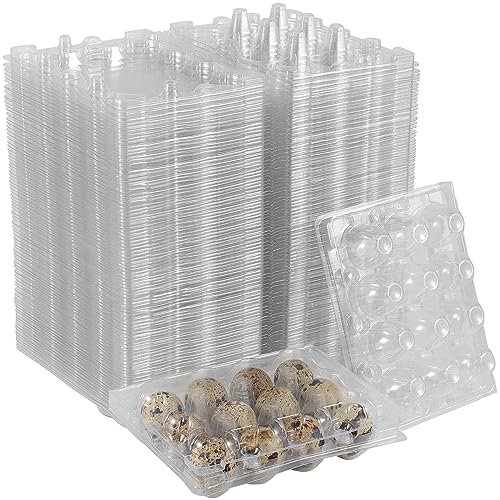 NAMYEUT Lot de 50 boite oeuf de caille, boite à 12 oeufs en plastique, Transparent à œufs réutilisablesen plastique recyclable de Caille, avec couvercle pour œufs, petits