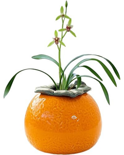 Mandarine Vase, Hydroponische Pflanzen Vase, Einzigartige vasen, Keramik Vase, Orange Farbe Blumenvase für Blumenarrangement, Heimdekoration