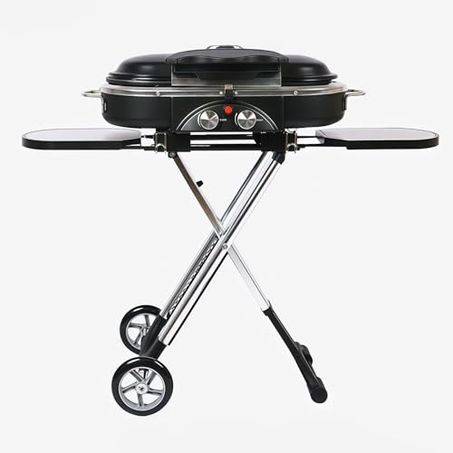 Grill a gas a doppio bruciatore portatile, pieghevole con termometro incorporato e potenza da 2,34 kW, griglie in ghisa per campeggio/cortile