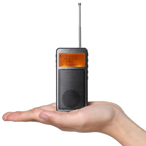 Raddy RF205 Tragbares FM Radio, Taschen-Mini-Radio mit BT 5,3 Verbindung, FM-zu-BT-Signalausgang, MP3-Musikplayer-Lautsprecher batteriebetrieben, Typ-C Aufladung, Wecker, Grau
