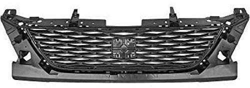 DIEDERICHS 7433240 KÜHLERGRILL KÜHLERGITTER Grill Gitter