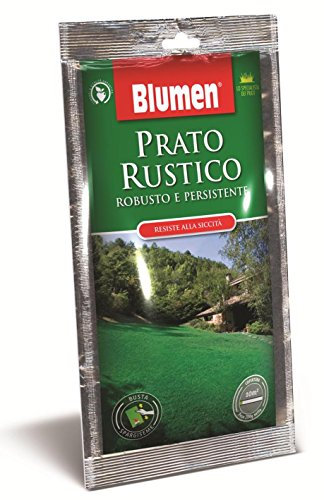 Blumen Gazon fort rustique 200 g, vert