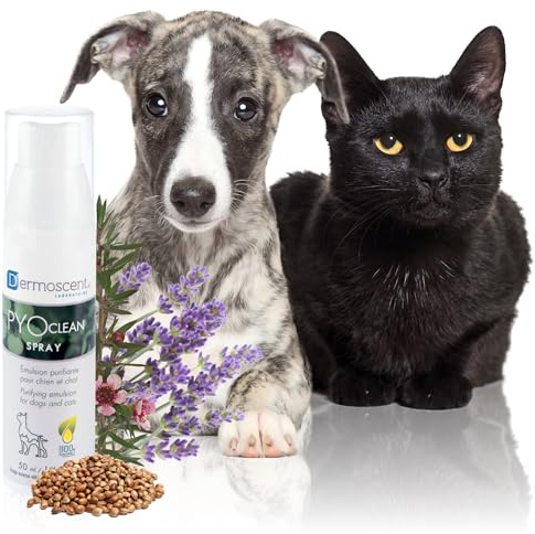 PYOclean Spray pour Chiens & Chats | Spray Purifiant Sans Rinçage | Soin Naturel pour Peaux Sensibles | Aide à Rééquilibrer la Flore Cutanée | 50 ml | Dermoscent