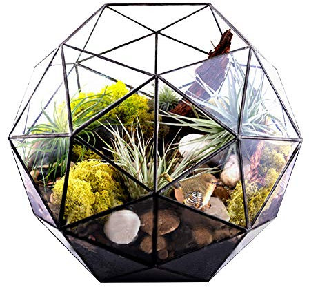 Terrario De Cristal Geométrico, Forma De Cuenco, Maceta De Cristal, Balcón, Ventana, Planta Suculenta, Cactus, Helecho, Maceta, Contenedor, Mesa, Centro De Mesa En Miniatura, Decoración De Paisaje