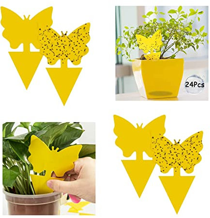 GeekerChip Fruit Fly Trap,24 Pcs Fruit Fly Killer Yellow Sticky Bug Insect Killer Double-sided Insect Catcher Sticky Bug Sticky Fruit Fly Killer,For Multiple Insects,Plant Fly Control Indoor