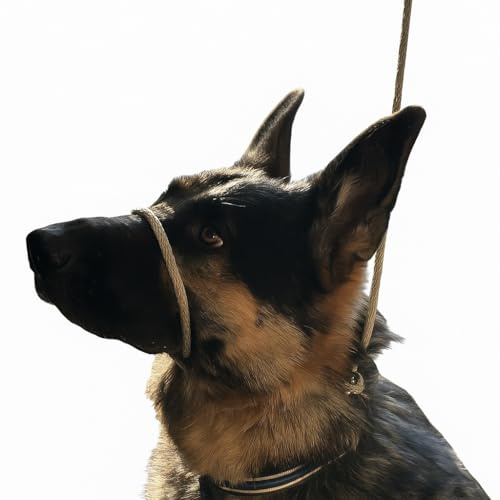 Not So Fast Rover No-Pull Dog Headcollar - Premium-One Size Fits All - Corrects Your Dog's Pulling for Easier Walks - Gain Control. Stop Pulling. Most Comfortable Head Halter Made (Tan)