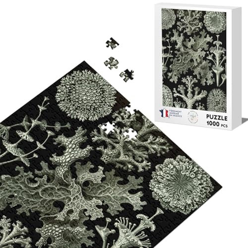 Klassische Puzzle 1000 Teile antike geschnitzte Flechttafel Biologie-Zeichnung