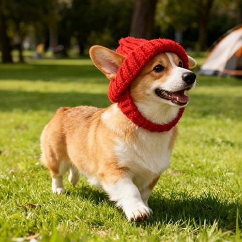 Bonnet tricoté rouge pour chien avec cache-oreilles, chapeau d'hiver chaud 2026 pour petits chiens et chats, bonnet en tricot doux et extensible pour temps froid, accessoire de Noël pour animaux de