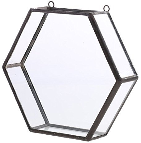 Backbayia Vasques à Plantes Vase Transparent Pots de Fleurs Balcon Jardin Maison Chambre Décor (Noir)