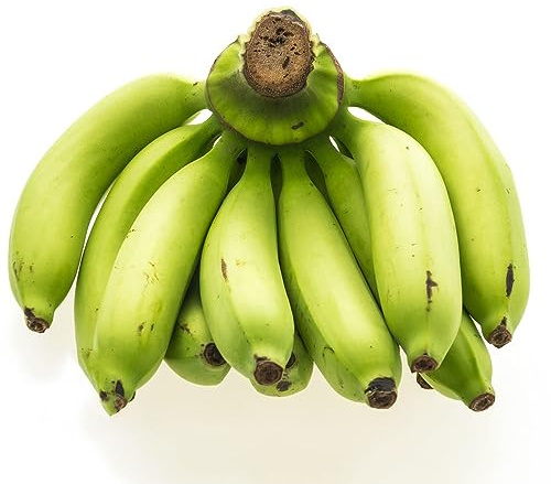 bananensamen bananenbaum hochbeete für garten garten hochbeet säulenobst pflanzendeko obstbäume bananenpflanze winterhart winterharte stauden mehrjährig bonsai bäumchen kaufen bananen 120samen