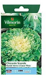 Vilmorin Sachet graines Chicorée Scarole Ronde Verte à Coeur Plein