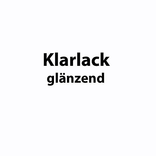 250 g Pulverlack Beschichtungspulver Pulverbeschichtung pulverbeschichten PG 2 (Klarlack glänzend)