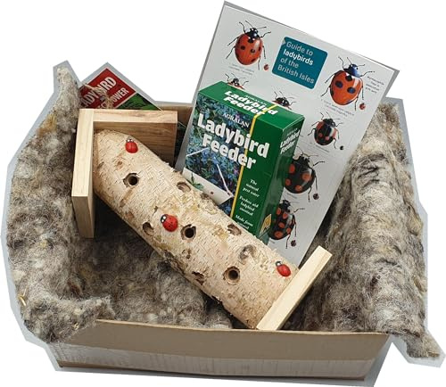Ladybird House Giftbox