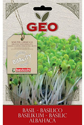Geo Albahaca - Semillas para germinar, 12.7 x 0.7 x 20 cm, Color marrón