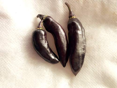 SEMI PEPERONCINO PIMENTA DA NEYDE