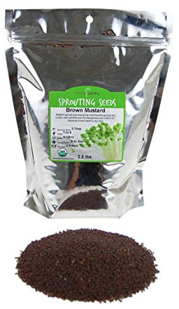Organic Brown Mustard Sprouting Seeds: 2 Lb - Hot Mustard Seed: for Spices, Sprouts, Microgreens, Making Gourmet Mustard, Herb Gardening, More