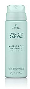 ALTERNA My Hair My Canvas Another Day Dry Sham57g