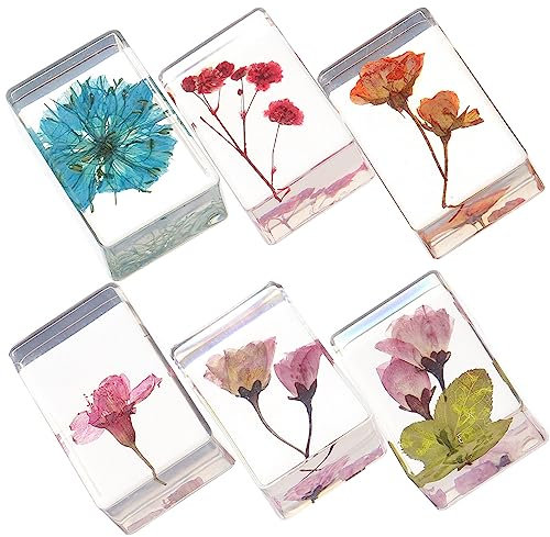 iplusmile 6stücke Harz Bernsteinblumen Kunstharzblumen Dekoratives Harzblumen Sammlerstücke Lehrmittel Blumenpräparate Aus Harz Künstlicher Bernstein