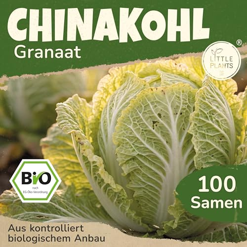 Little Plants BIO Chinakohl Samen 100 China Kohl Granaat Gemüsesamen Samenfest für Gemüsegarten Gemüse Samen Hochbeet