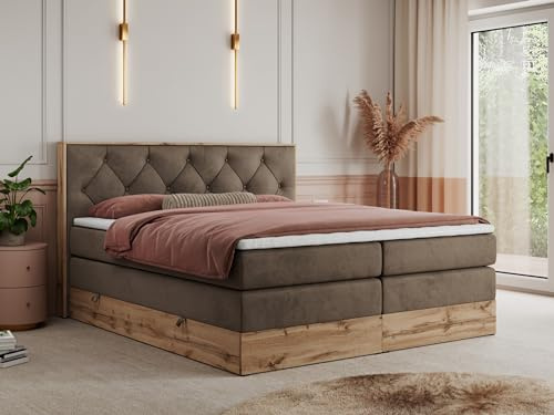 MKS MEBLE King Boxspringbett 200x200 mit Kopfteil und Bettkasten, Polsterbett mit Matratze H3 und Topper T25, Wotan Eiche Dekor - Braun Velvet - Veneto King