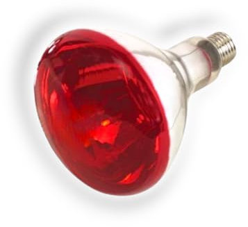 Lampada a infrarossi 150 W, in vetro temprato, colore rosso