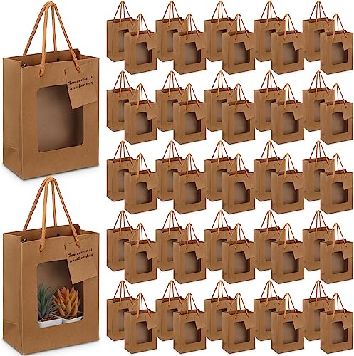 Fuutreo 50 st brun presentpåse med genomskinligt fönster liten kraftpresentpåse med handtag och presentetikett, pappersbärkasse, bröllop, alla hjärtans dag, presentpåse (19 x 9 x 15 cm)