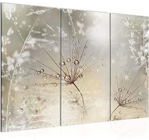 Runa Art Wandbilder Pusteblume Bild XXL Wohnzimmer Schlafzimmer Beige Braun Gräser 120 x 80 cm 3 Teilig 205531a