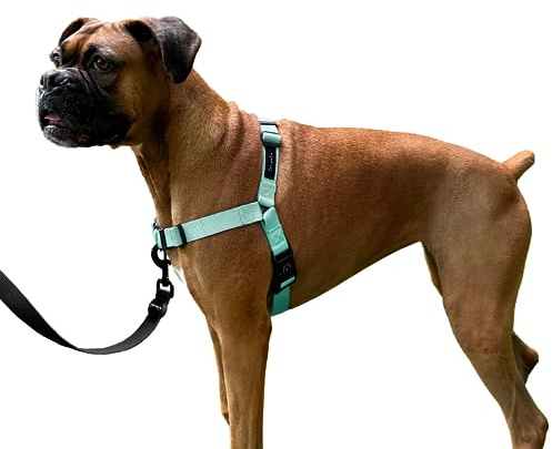 ShawnCo Dream Walk No-Pull Dog Harness (Seafoam, L)
