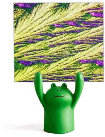 Reeds Cluster Feather Colour Wallpaper Memo Holder Cartoon Animal Frog Stand Decoration