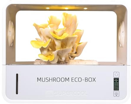 Crownow Pilzzucht Box mit Temperaturanzeige,Pilze Züchten Set Indoor Pilzzuchtset mit Feuchtigkeitsanzeige Wachstumslicht,Intelligente Pilze Züchten Box für Pilzzüchter