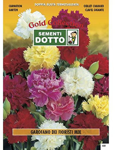 Sementi Dotto Semi di Garofano dei Fioristi in Mix - h cm 60