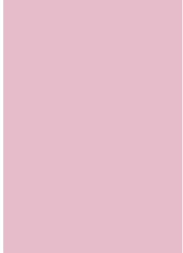 Heyda - Cartón fotográfico (50 unidades, A4, 300 g), color rosa